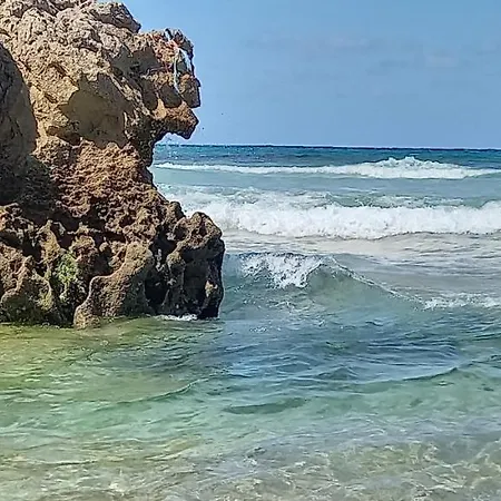 Lejlighed Filipe's House