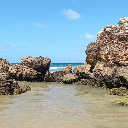 Lejlighed Filipe's House *