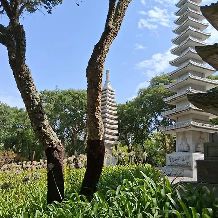 Apartment Filipe's House *