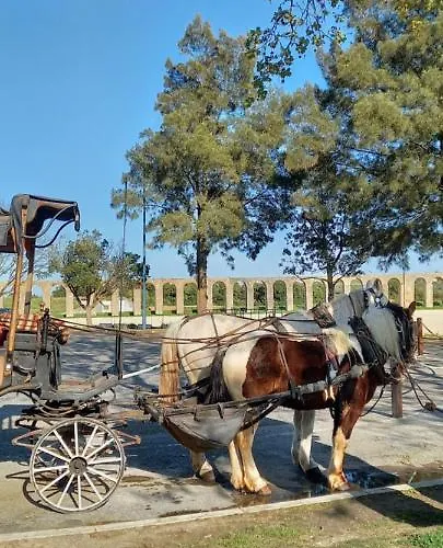 Filipe's House Apartment *