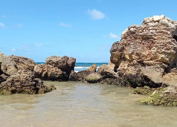 Apartment Filipe's House *