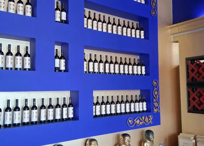 Apartment Filipe's House