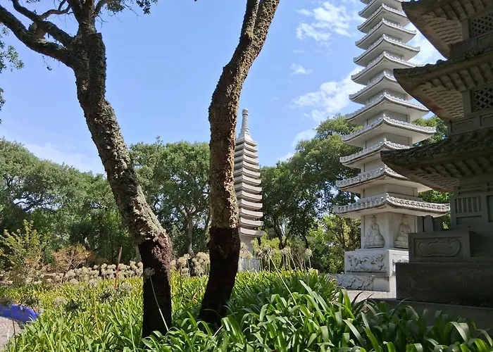 Apartment Filipe's House *